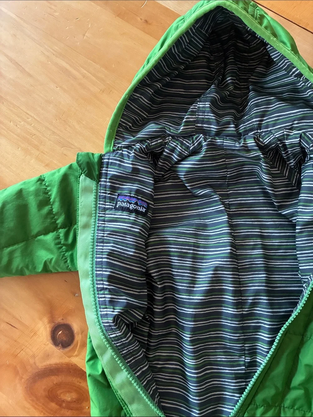 Patagonia insulated hooded